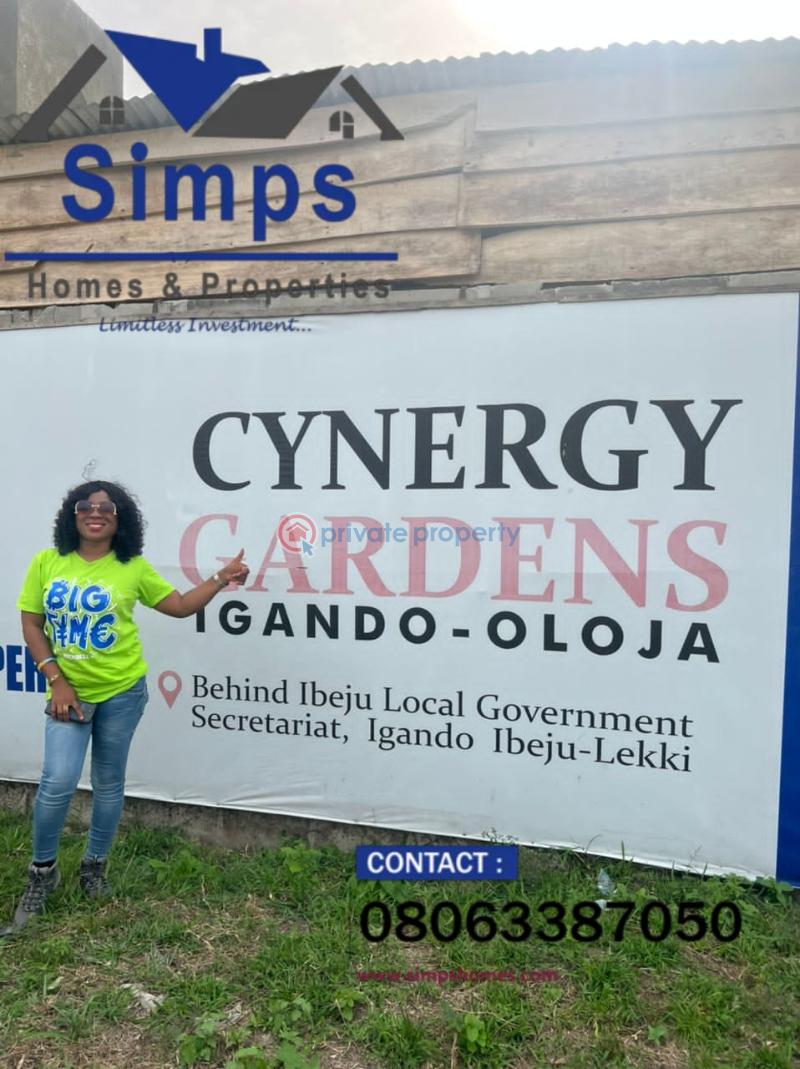 4 bedroom Penthouse For Sale Ibeju-Lekki Lagos - 6