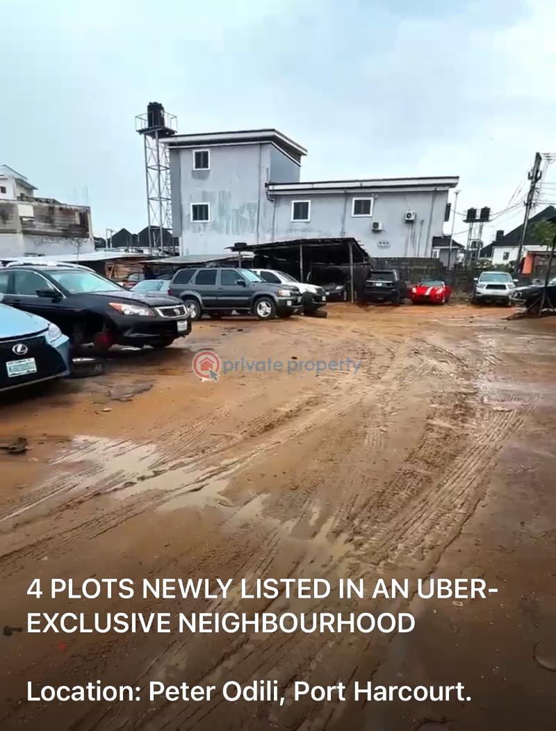 Mixed use Land For Sale Peter Odili, Port Harcourt Port Harcourt Rivers - 2