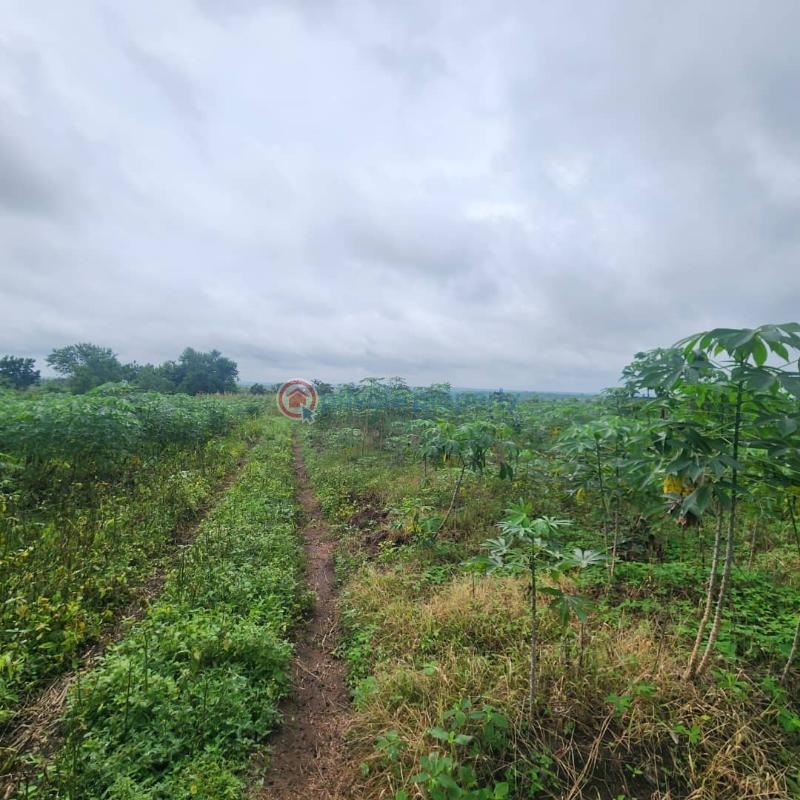 Mixed use Land For Sale Ido Ibadan Oyo - 8