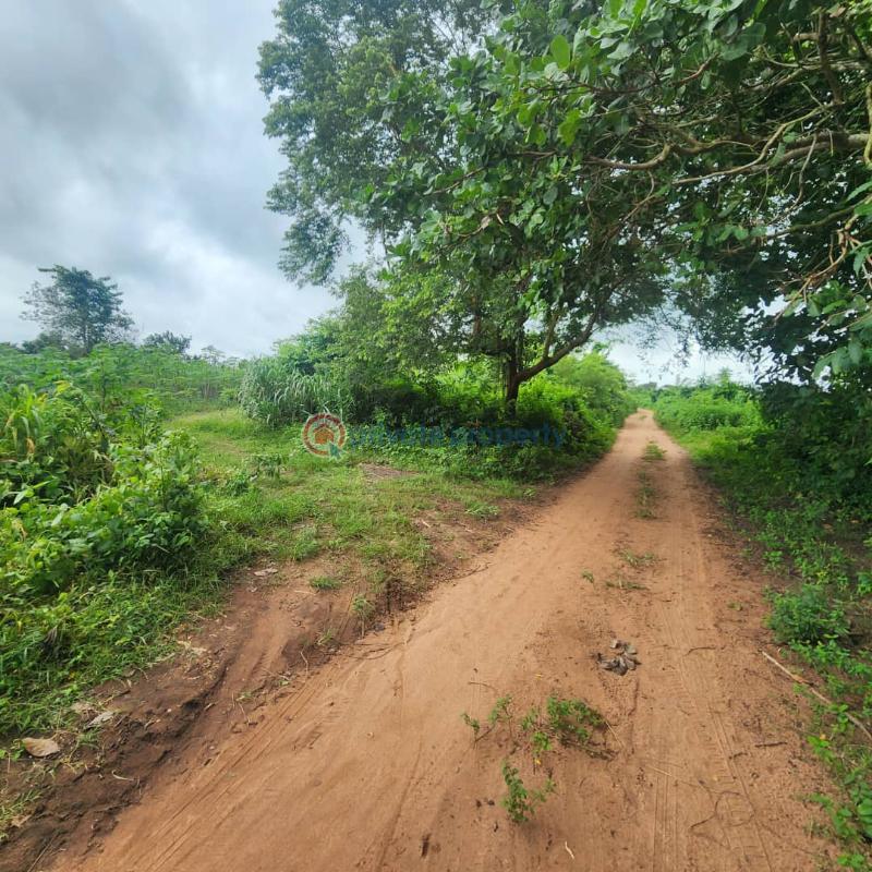 Mixed use Land For Sale Ido Ibadan Oyo - 7