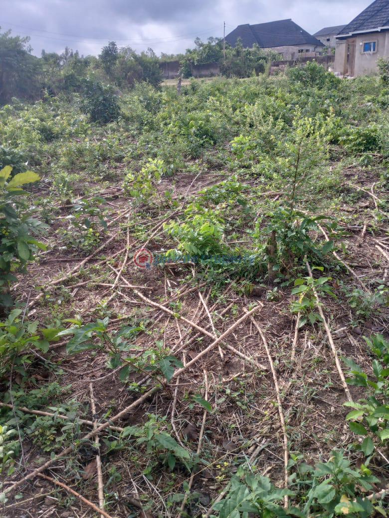 Mixed use Land For Sale Isale Ofikin, Ido Garage Ido Ibadan Oyo - 5