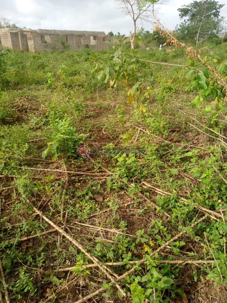 Mixed use Land For Sale Isale Ofikin, Ido Garage Ido Ibadan Oyo - 1