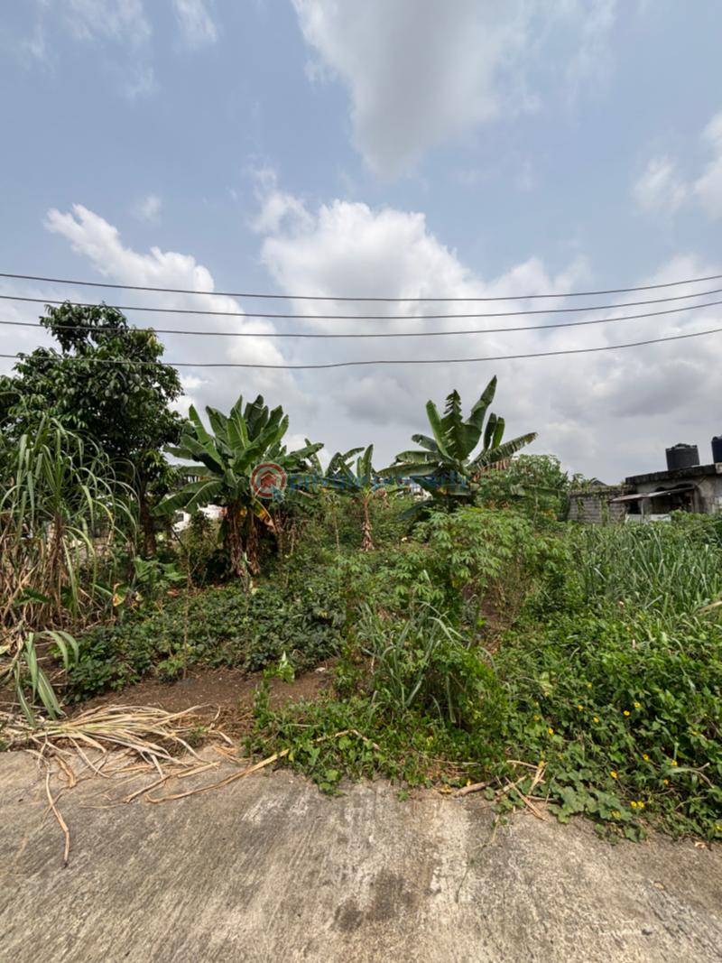 Mixed use Land For Sale Rumuigbo, Obi Wali Port Harcourt Rivers - 1