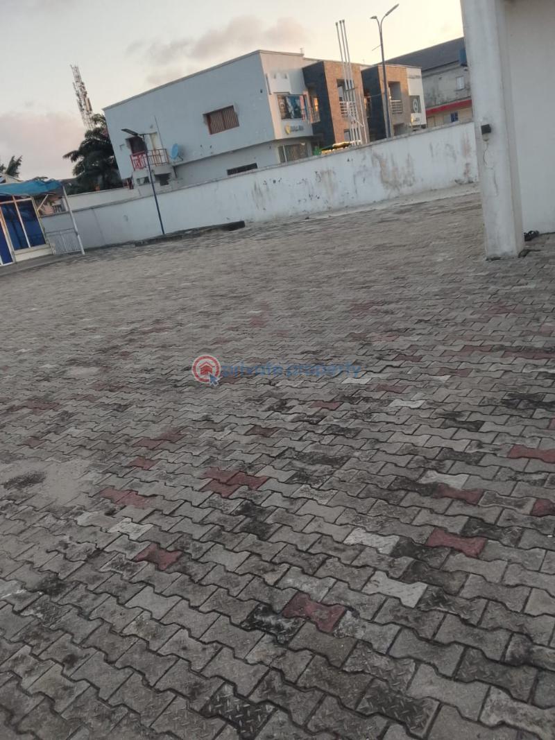 Residential Land For Sale Four Plots Of Land Beside Lagos Business School,, Lekki Epe Expressway Olonkonla Ajah Lagos - 1