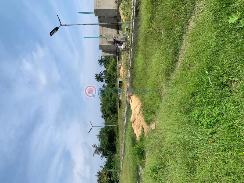 Residential Land For Sale Around Beachwood Estate, Lekki Epe Expressway Alatise Ibeju-Lekki Lagos - 7