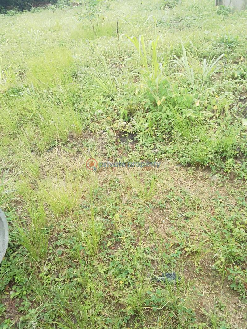 Residential Land For Sale Ikeja  Lagos