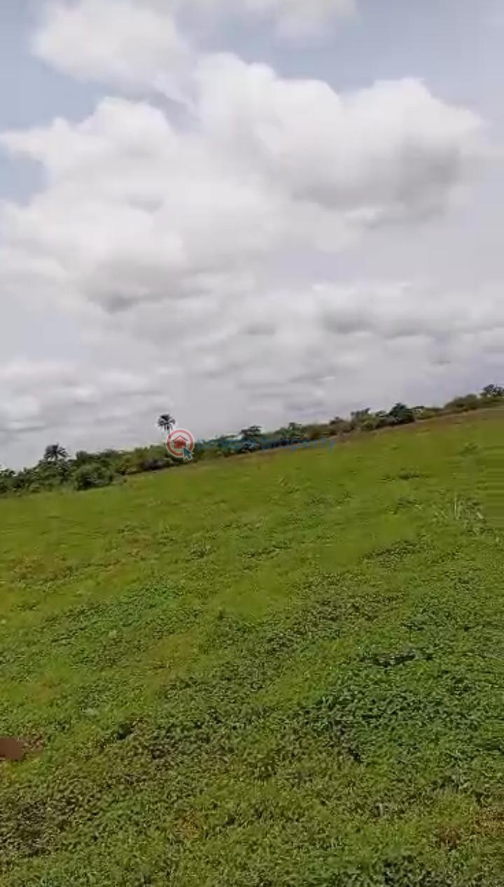 Land For Sale Ayetoro Express Road Ogun area  - 0