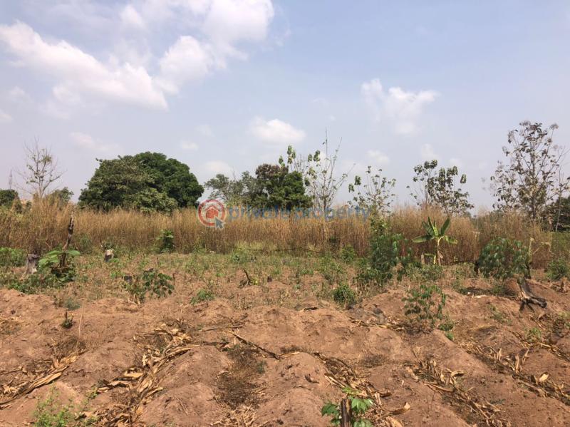 Residential Land For Sale Apete Ibadan Polytechnic/University of Ibadan Oyo - 6