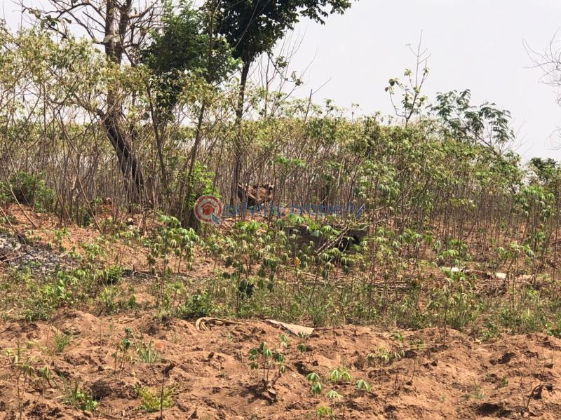Residential Land For Sale Apete Ibadan Polytechnic/University of Ibadan Oyo - 8