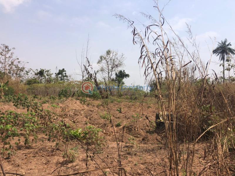 Residential Land For Sale Apete Ibadan Polytechnic/University of Ibadan Oyo - 10
