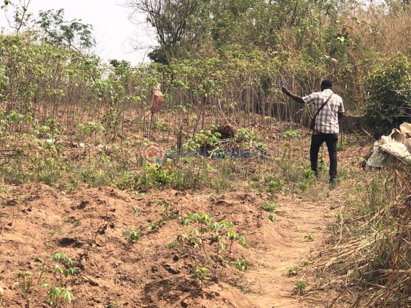 Residential Land For Sale Apete Ibadan Polytechnic/University of Ibadan Oyo - 5