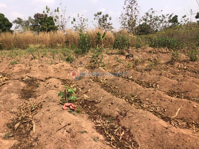 Residential Land For Sale Apete Ibadan Polytechnic/University of Ibadan Oyo - 1