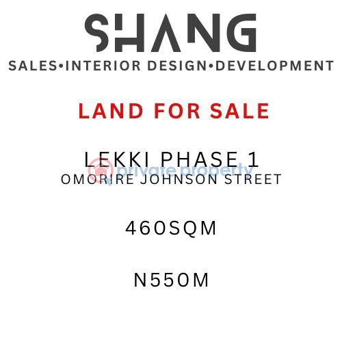 Residential Land For Sale Omorire Johnson Street Lekki Phase 1 Lagos