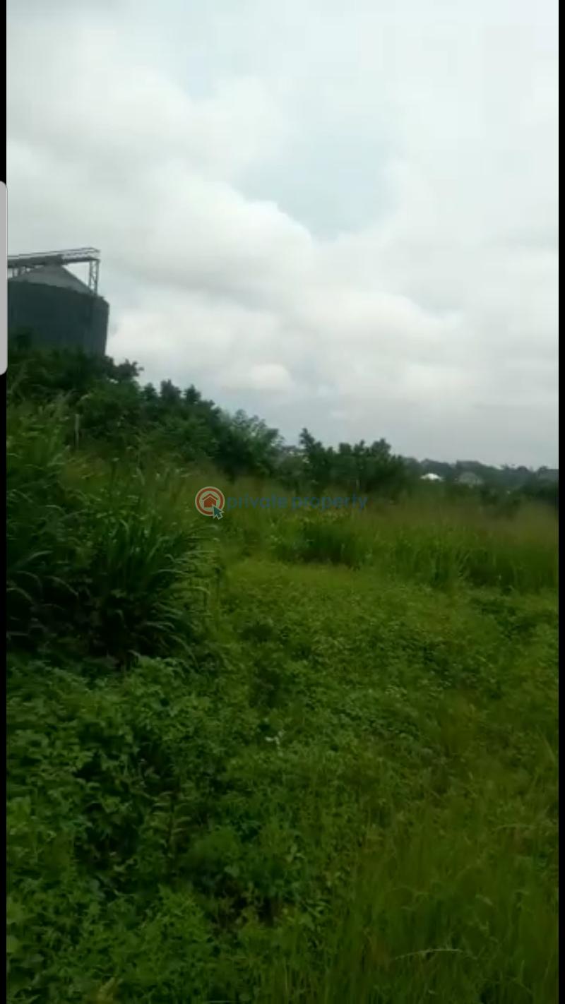 5 (five) acres (over 20,000sqm) of virgin table land with cofo @ industrial layout, aba. - 2 Land For Sale Industrial Layout, Aba. Abia  - 2
