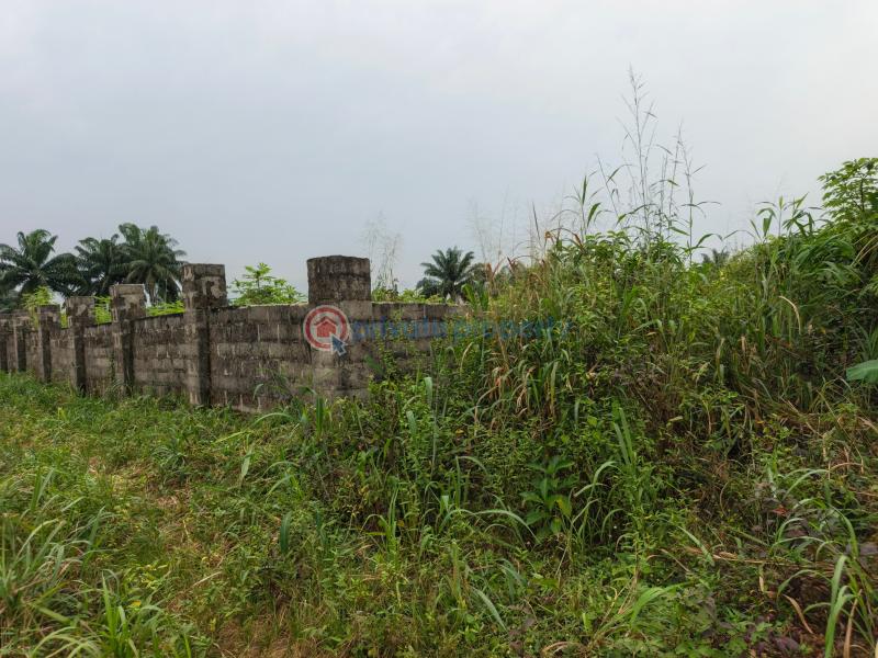 Residential Land For Sale Obokwu Community Layout Avu Owerri Imo - 3