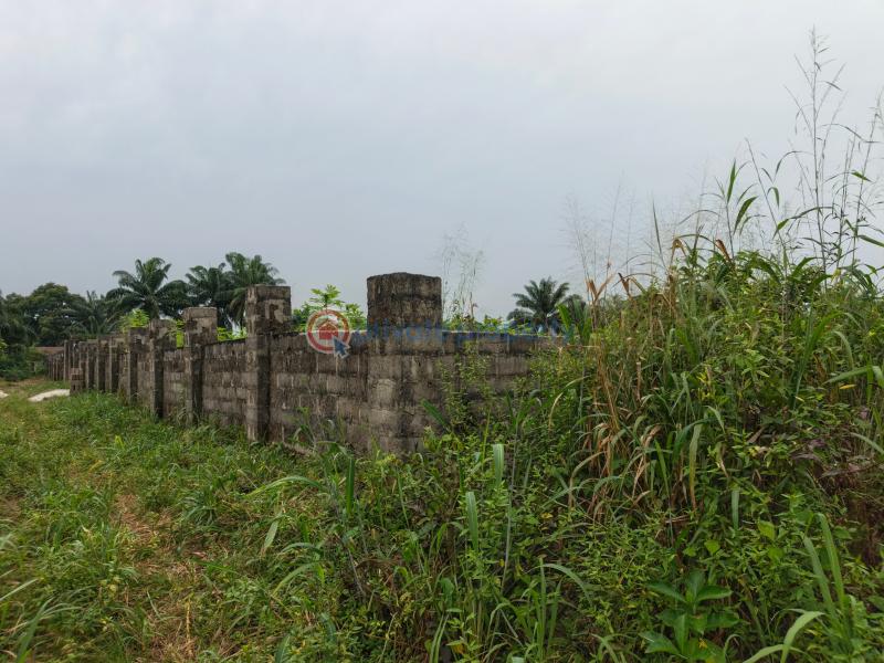 Residential Land For Sale Obokwu Community Layout Avu Owerri Imo - 0