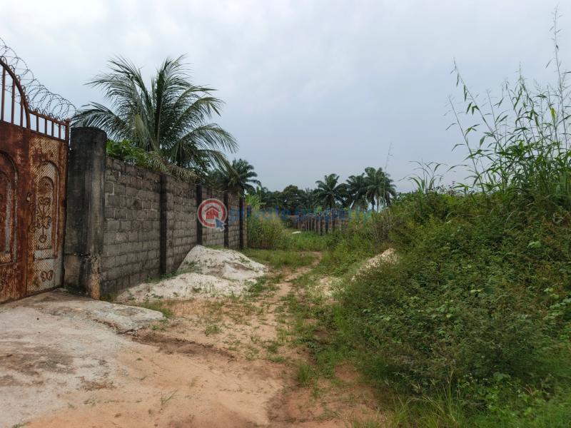 Residential Land For Sale Obokwu Community Layout Avu Owerri Imo - 5