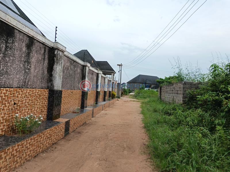 Residential Land For Sale Obokwu Community Layout Avu Owerri Imo - 4