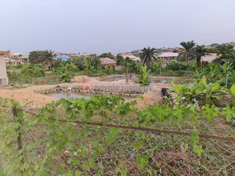 Commercial Property For Rent Abata Madojutimi. Abeokuta Ogun - 0