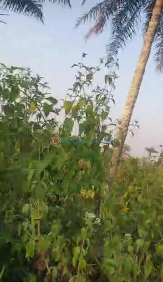 Commercial Land For Rent Epe Lagos - 1
