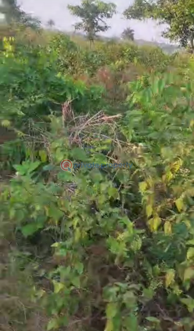 Commercial Land For Rent Epe Lagos - 2
