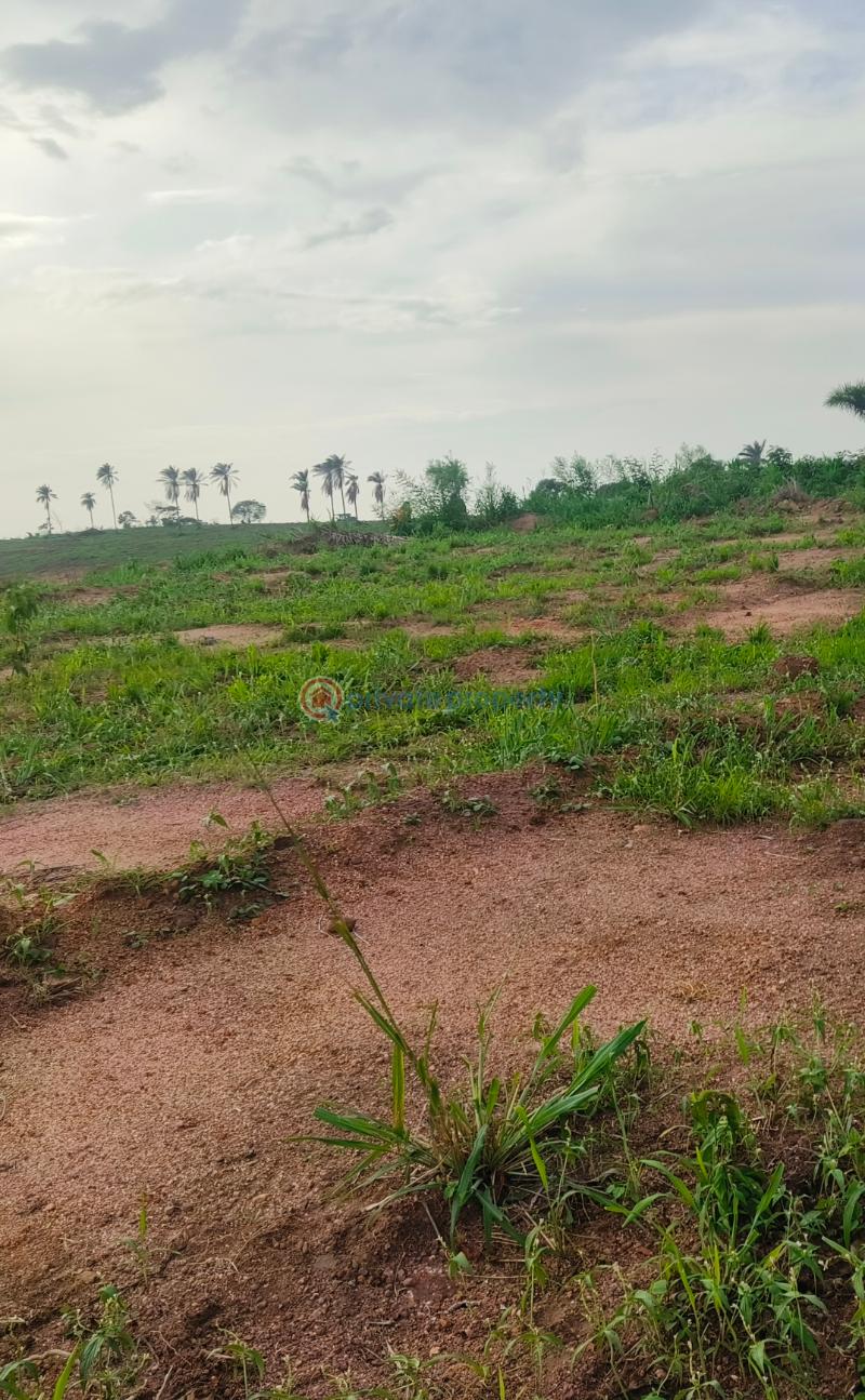 Mixed use Land For Sale Stephen Richards Homes Ikorodu Sagamu Road Sagamu Ogun - 2