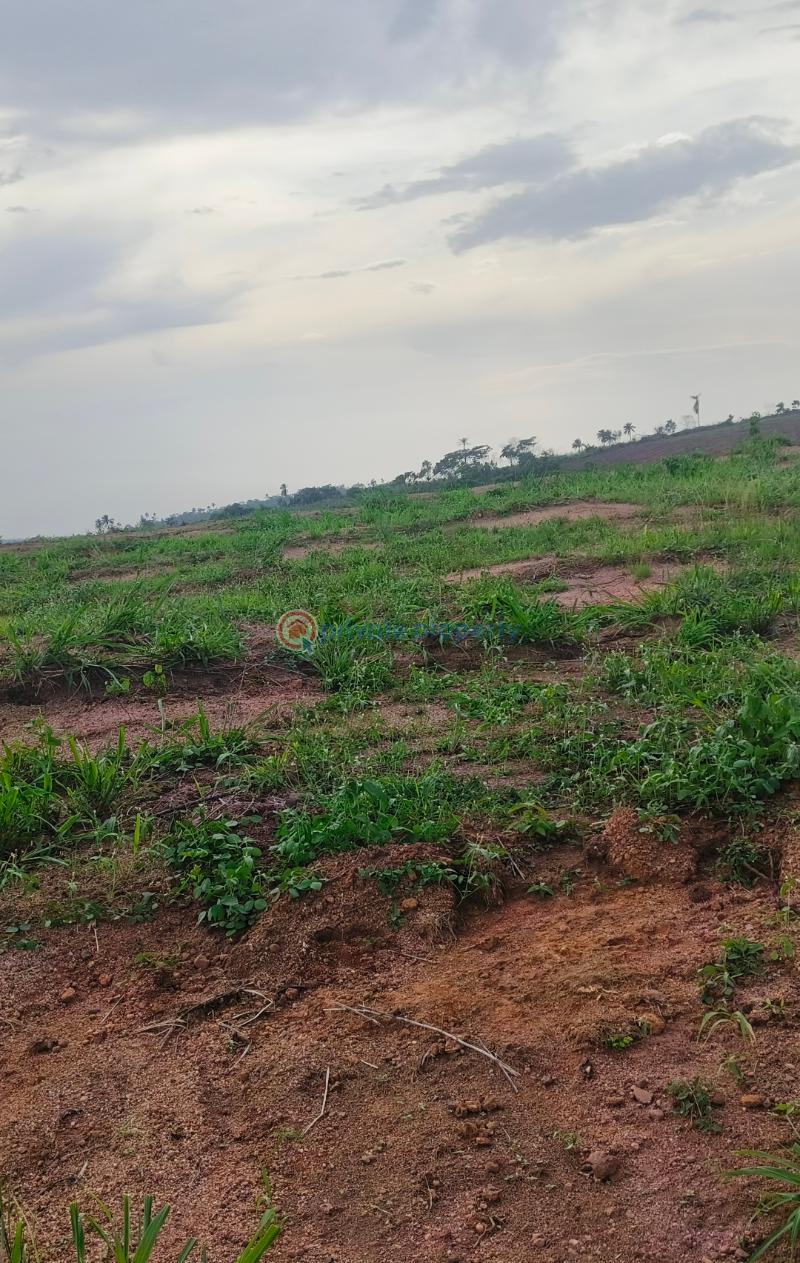 Mixed use Land For Sale Stephen Richards Homes Ikorodu Sagamu Road Sagamu Ogun - 5