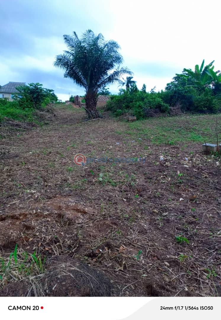 Residential Land For Sale Off Okobaba Road Agbowa Ikorodu Ikorodu Lagos - 1