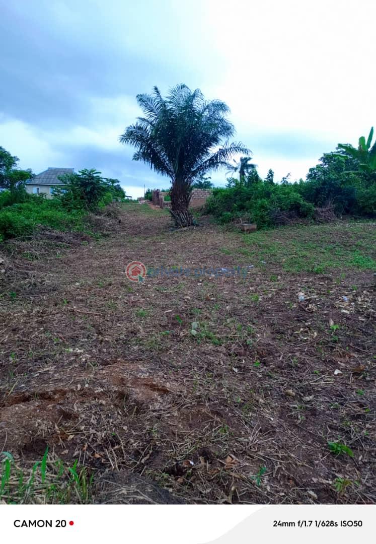 Residential Land For Sale Off Okobaba Road Agbowa Ikorodu Ikorodu Lagos - 0