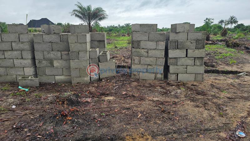 Land For Sale Eleran Igbe Ibeju-Lekki Lagos - 2