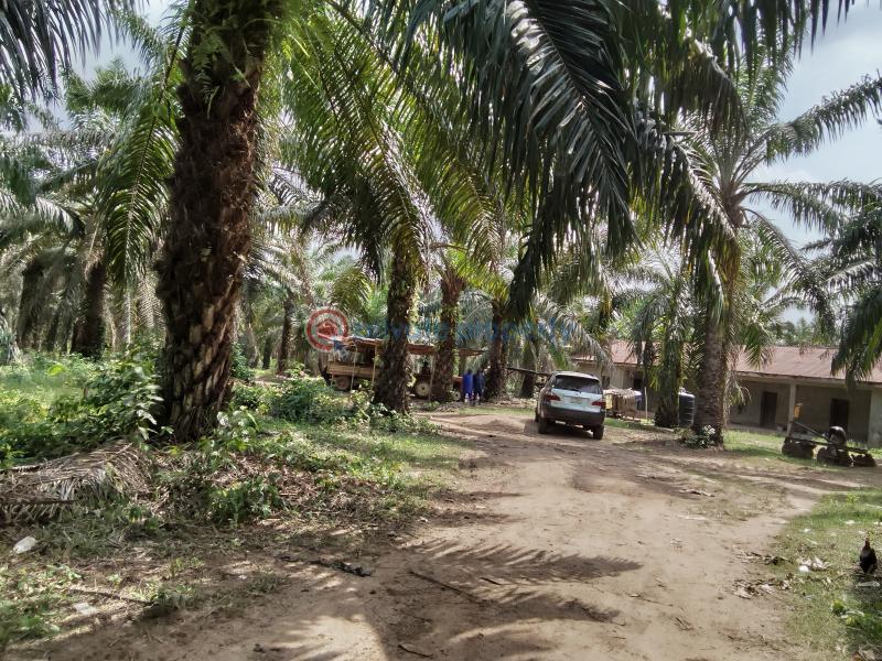 Commercial Land For Sale Ogbere Road, Off Sagamu Ore Benin Expressway Ijebu East Ogun - 1