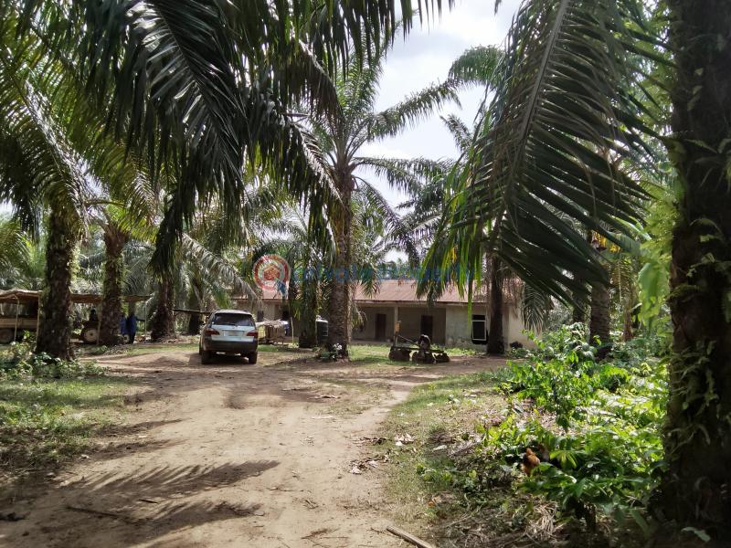 Commercial Land For Sale Ogbere Road, Off Sagamu Ore Benin Expressway Ijebu East Ogun - 4