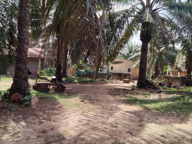 Commercial Land For Sale Ogbere Road, Off Sagamu Ore Benin Expressway Ijebu East Ogun - 3