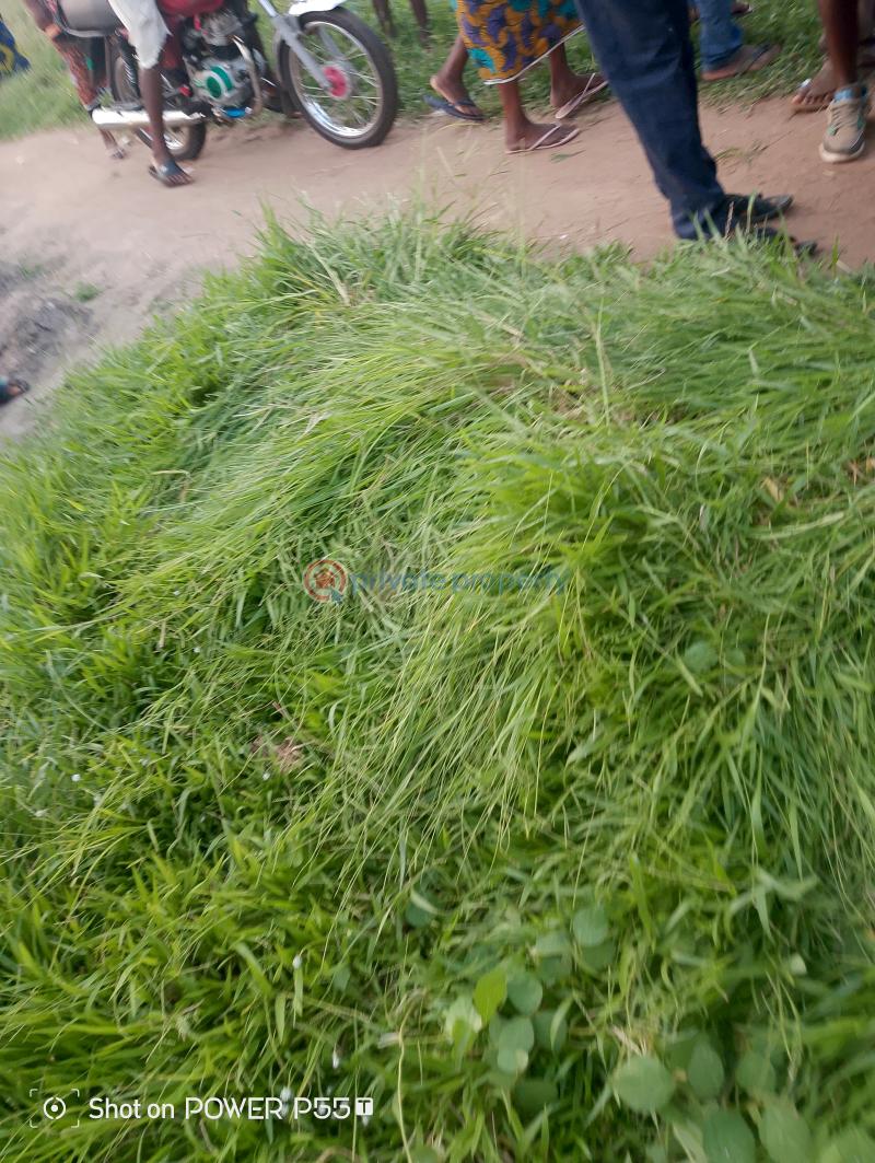 Joint Venture Land For Sale Behind Nnpc Guzape Abuja Phase 1 