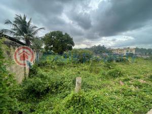 Commercial Land For Sale Opposite Foodco Jericho Ibadan Oyo - 2