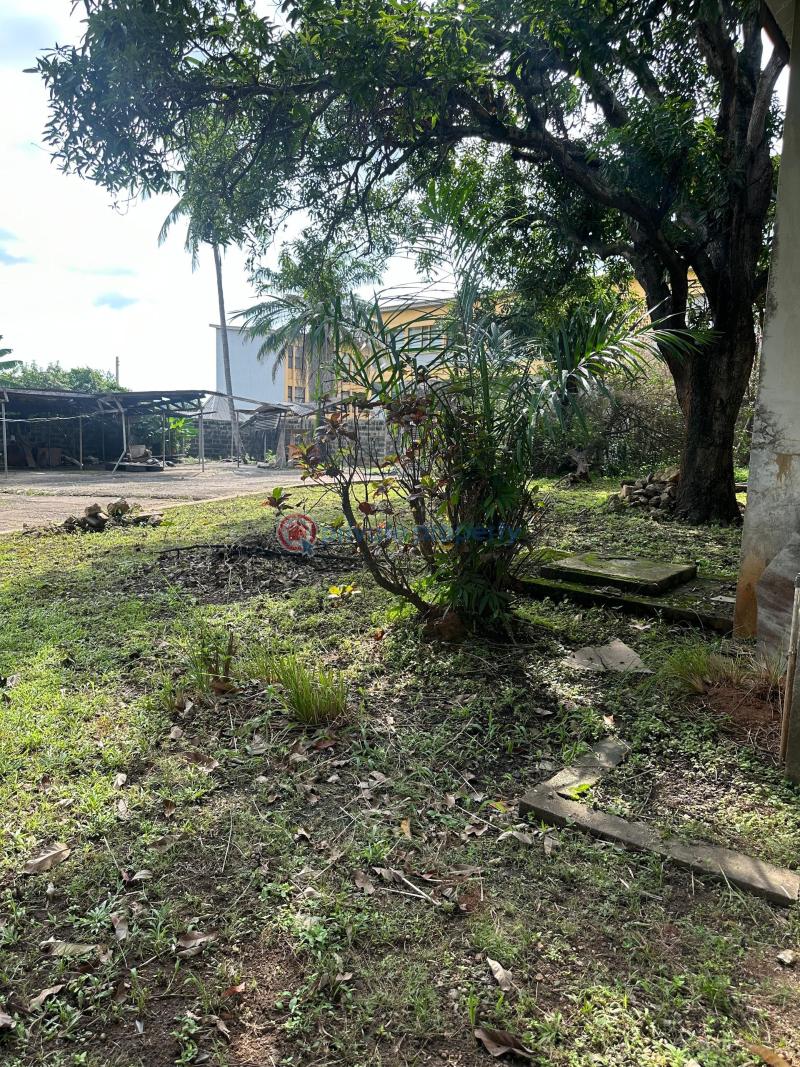Mixed use Land For Sale Rotimi William Old Bodija Ibadan Oyo - 3
