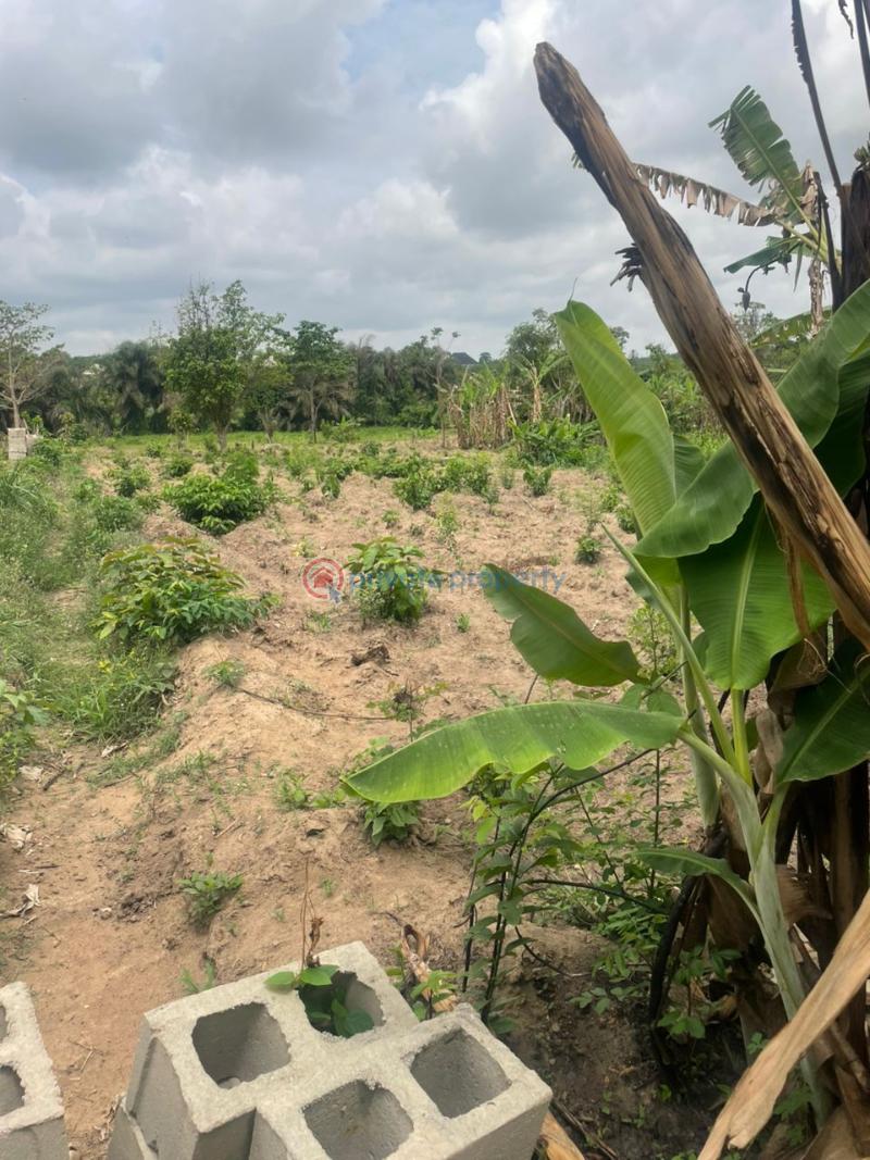 Land For Sale Oloje, Ido, Ibadan Ibadan Oyo - 4
