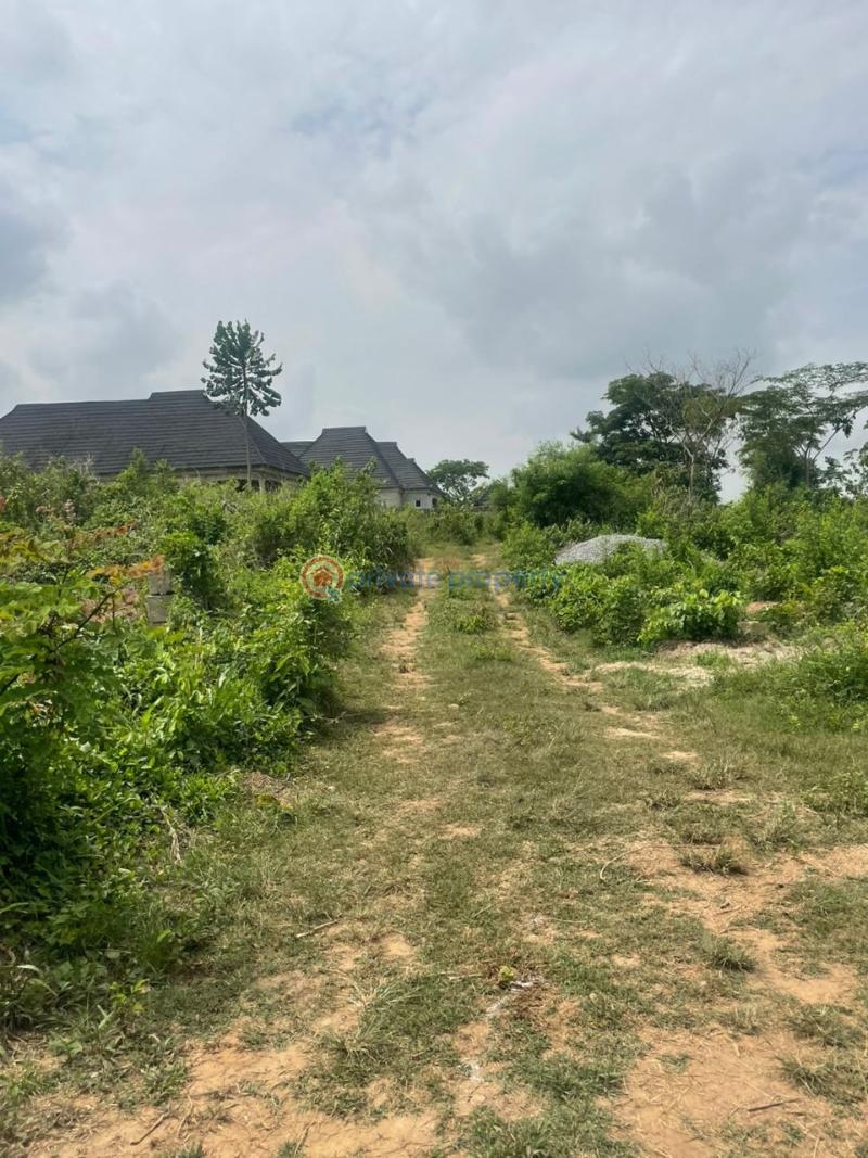 Land For Sale Oloje, Ido, Ibadan Ibadan Oyo - 3