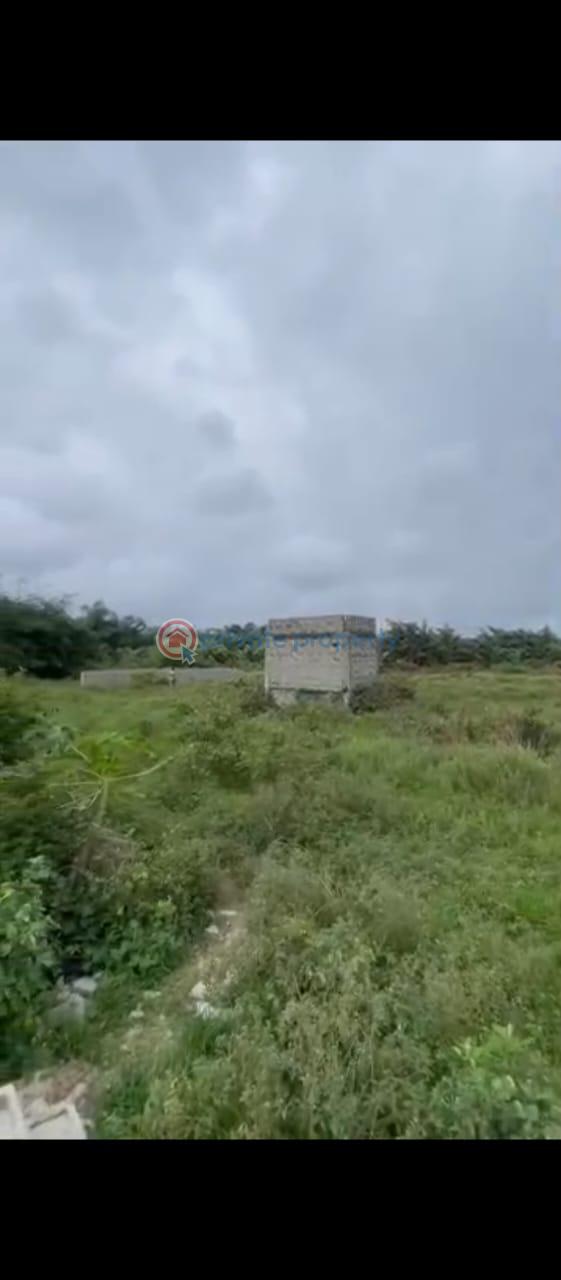 Commercial Land For Sale Free Zone City Eleko Ibeju-Lekki Lagos - 1