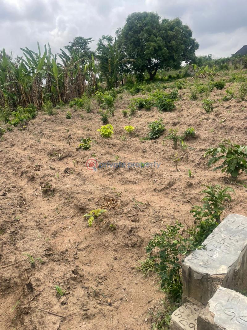 Land For Sale Oloje, Ido, Ibadan Ibadan Oyo - 2