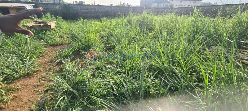 Residential Land For Sale Citiview Estate Off Lagos/ibadan Expressway Warewa Lagos Extension Ogun - 2