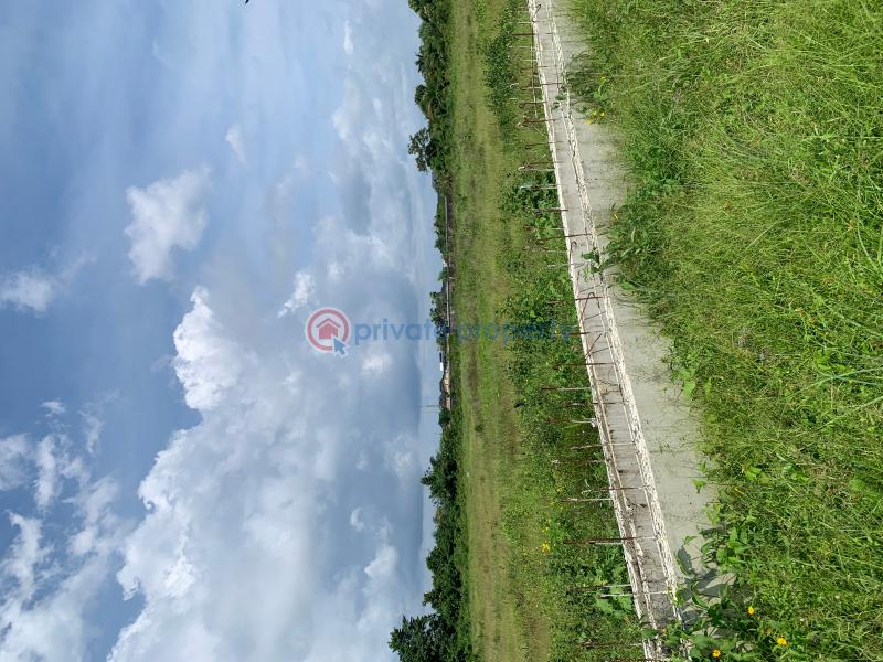 Residential Land For Sale Elemoro, Bogije Town Alatise Ibeju-Lekki Lagos - 7