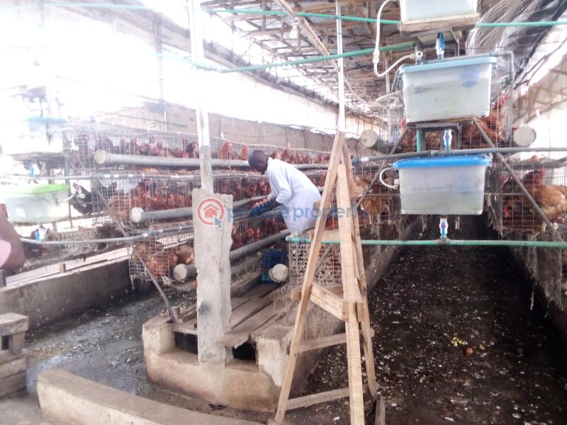 Mixed use Land For Sale Poultry Cluster Estate With Modern Facilities Located In Igbodu Epe Lagos - 3
