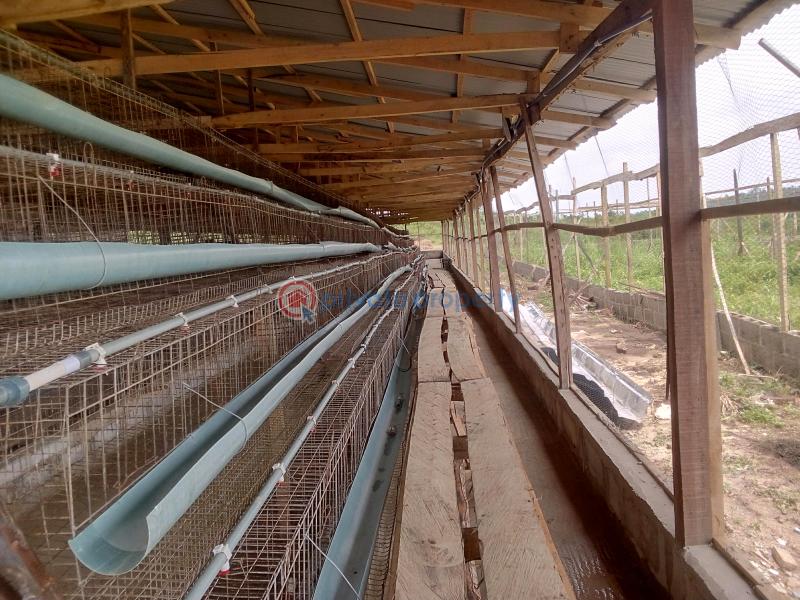 Mixed use Land For Sale Poultry Cluster Estate With Modern Facilities Located In Igbodu Epe Lagos - 5