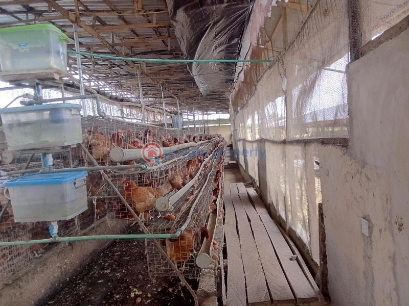 Mixed use Land For Sale Poultry Cluster Estate With Modern Facilities Located In Igbodu Epe Lagos - 2