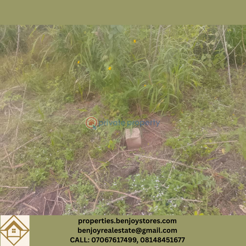 Mixed use Land For Sale Benin Edo - 2
