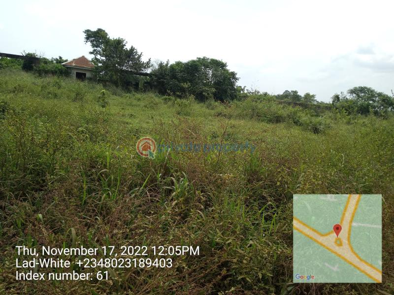 Land For Sale Sagamu Papalanto Road, Near Nestle Company Mowe Ogun area  - 6