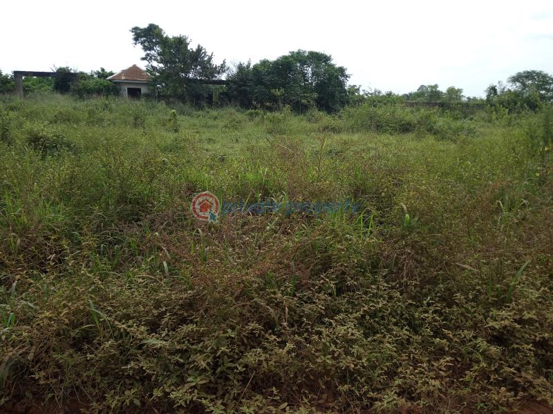 Land For Sale Sagamu Papalanto Road, Near Nestle Company Mowe Ogun area  - 2