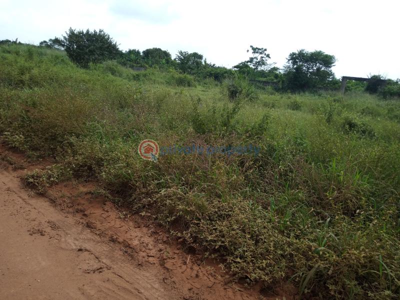 Land For Sale Sagamu Papalanto Road, Near Nestle Company Mowe Ogun area  - 3