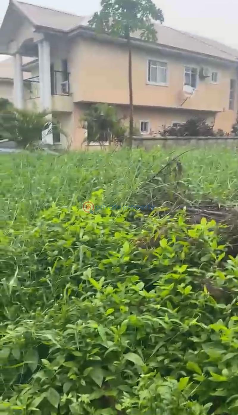 Land For Sale 𝗖𝗮𝗿𝗹𝘁𝗼𝗻 𝗚𝗮𝘁𝗲 𝗘𝘀𝘁𝗮𝘁𝗲 Chevron Drive Lekki Lagos - 1